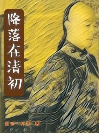 降落在成都机场的视频